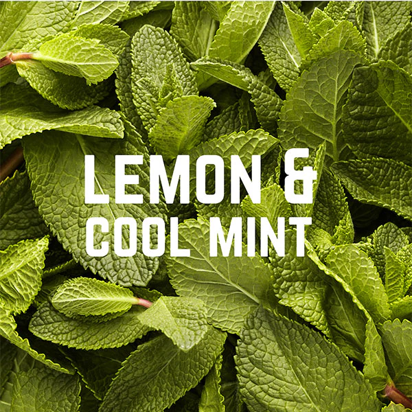 Fresco Energy Chews (50g) - Citron et Menthe - Image 4